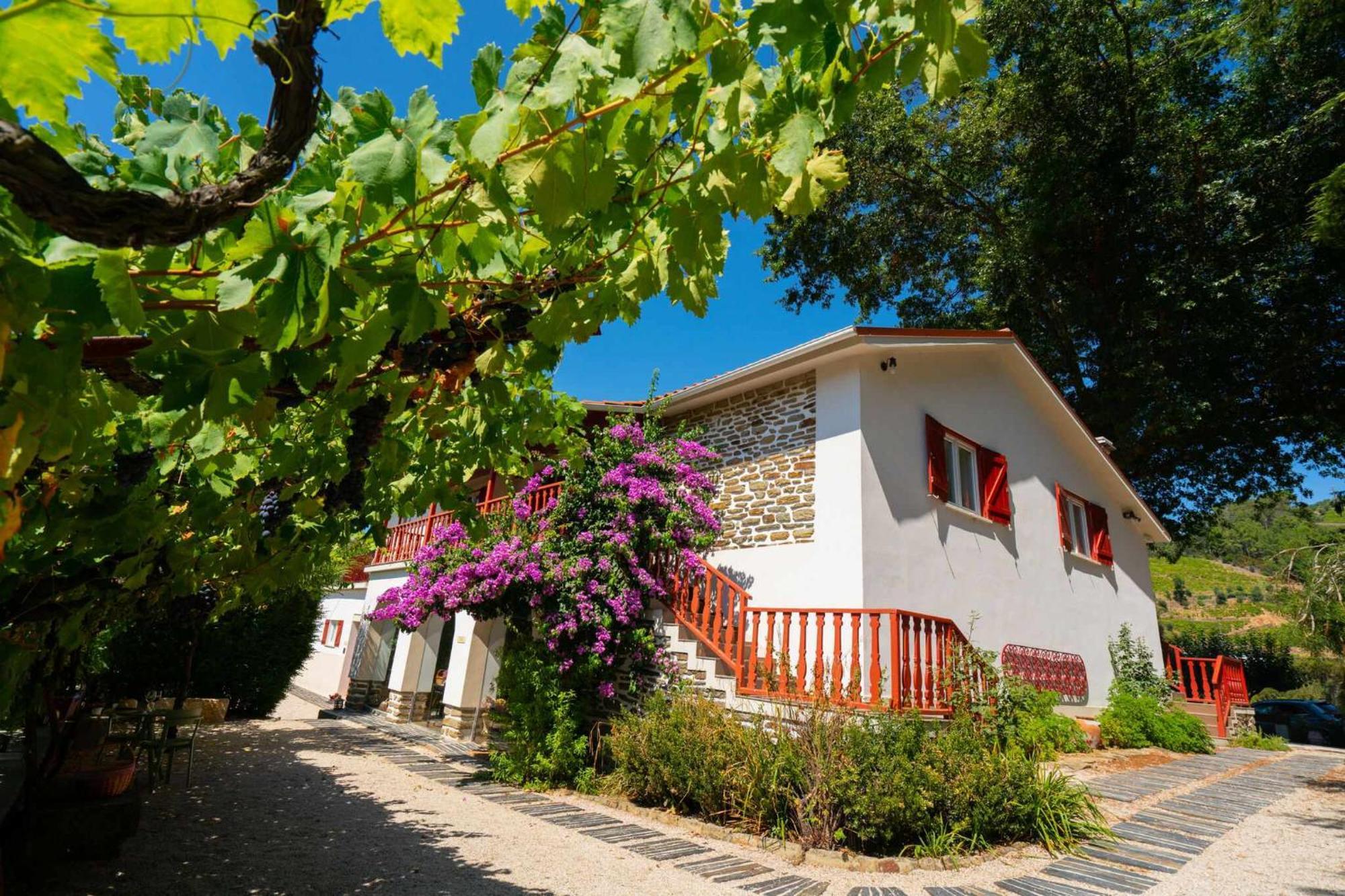 Quinta Da Pousada Casa De Campo Santa Marta de Penaguião Zewnętrze zdjęcie